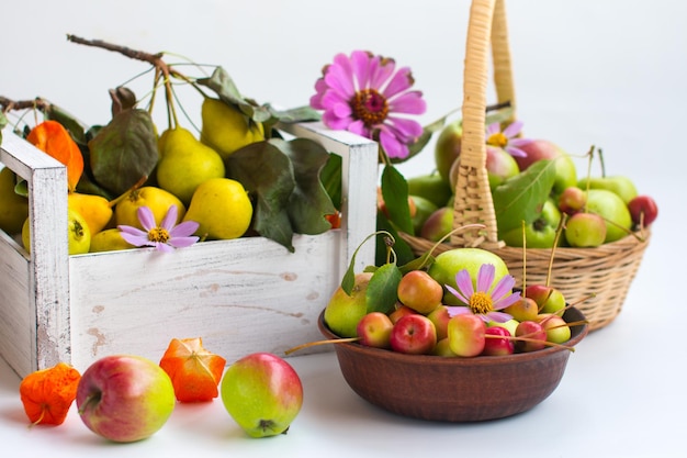 The harvest of apples in the basket Flower honey apple spas