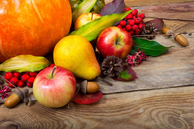 Harvest background with pumpkin, apples, pear, colorful leaves