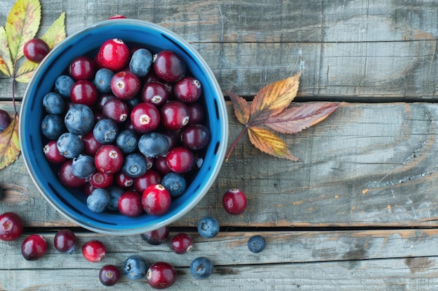 Harvest Berries A Bowl of Cranberries and Blueberries on a Rustic Wooden Table