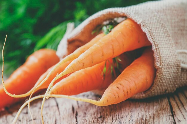 Harvest of carrots in a canvas bag vintage wooden background rustic style selective focus and toned image