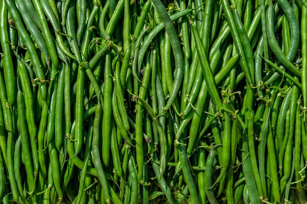 Harvest of dietary green beans, stacked tightly together to form a solid background, top view.