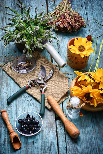 Harvest of medicinal plants