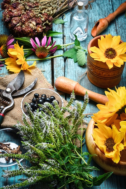 Harvest of medicinal plants