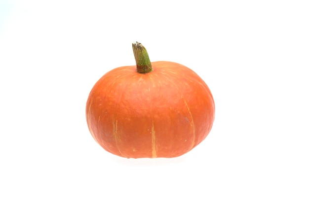 harvest of orange raw pumpkins harvest on white background