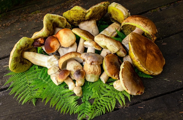 Photo a harvest of porcini mushrooms with a white stem and a brown cap