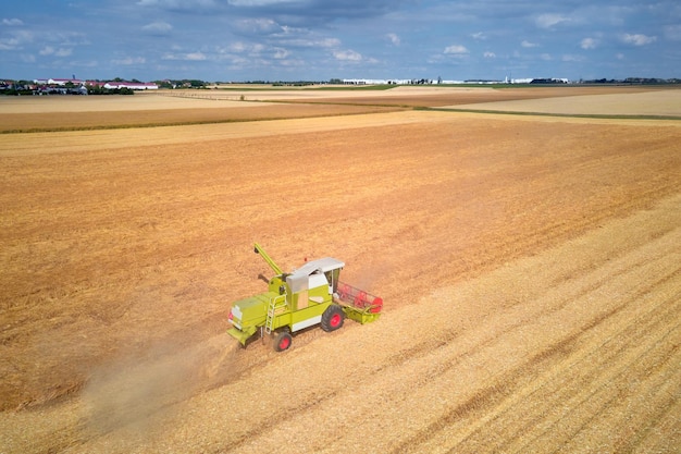 Harvest season aerial view of harvesting combine working in agricultural field