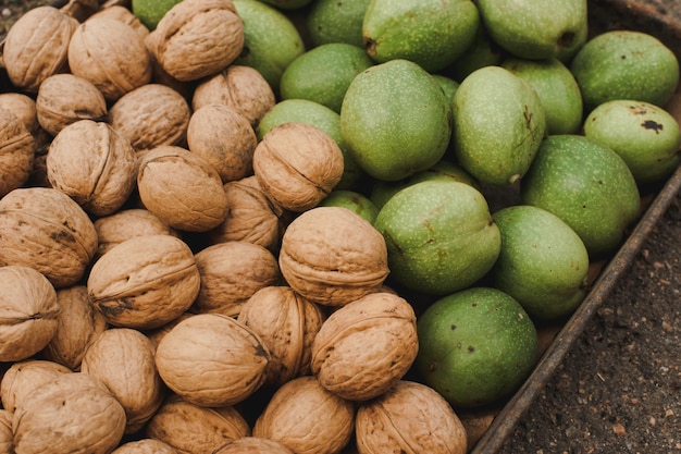 Harvest walnuts. Walnut fruits of different varieties. Fresh green and ripe walnuts in the shell.