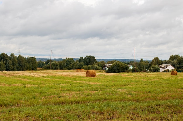 Harvested field by forest under cloudy sky