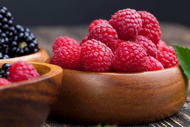 Harvested red raspberries, close up