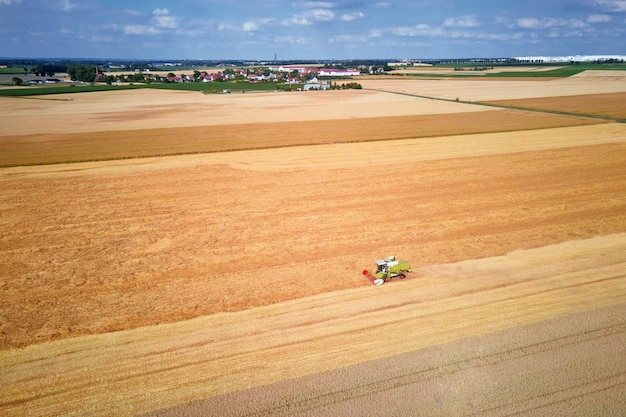 Harvester combine working in the field