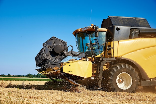 Harvester combine working in the field