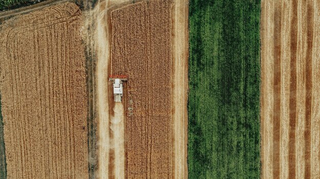 harvester in the field aerial photo