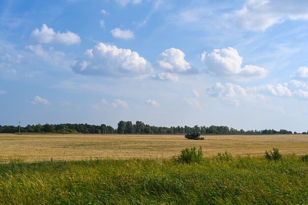 Harvester during harvesting. Agricultural machinery.