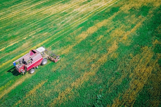 Harvester harvests wheat in the field view from flight altitude