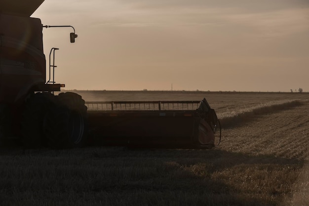 Harvester machine harvesting in the Argentine countryside Buenos Aires province Argentina