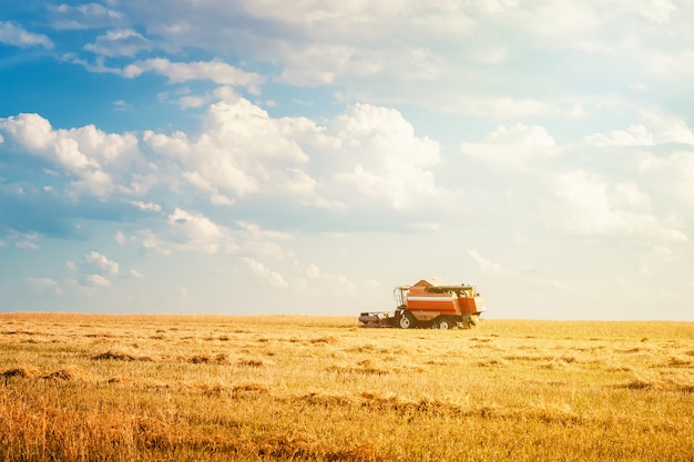 Harvester machine working in field on summer day