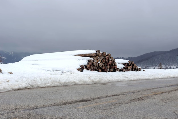 Harvesting firewood in the mountains on a winter cloudy day Greece