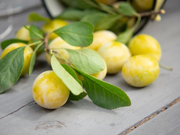 Harvesting plums fresh plums in bulk on a wooden table