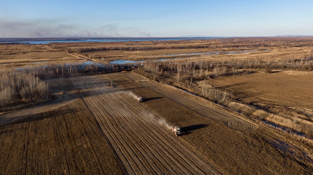 Harvesting of soybean field with combine in late summer