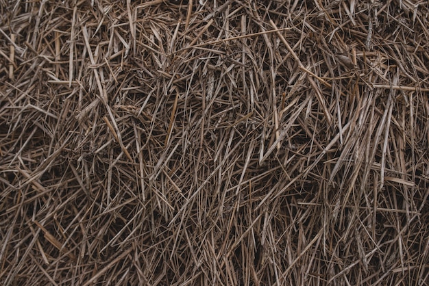 Harvesting straw for the winter Background of straw