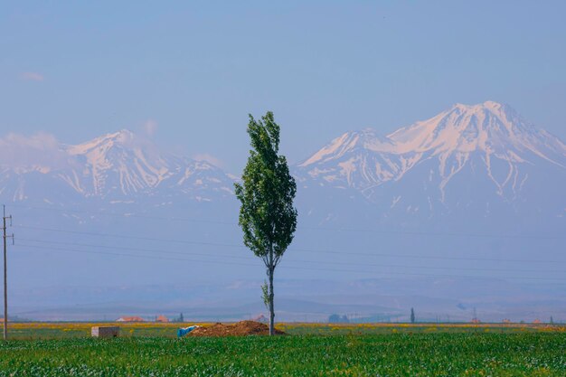 The Hasan Mountain distant view of Hasan mountain