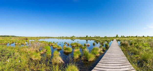 Hautes Fagnes Hohes Venn panorama