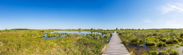 Hautes Fagnes with a boardwalk over a bog pond panorama