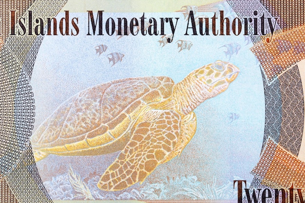 Hawksbill turtle from Cayman Islands money dollar