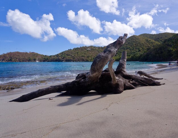 Hawksnest Bay on St John