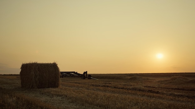 Hay bale on wheat field with harvesting equipment at golden sunset Agro concept