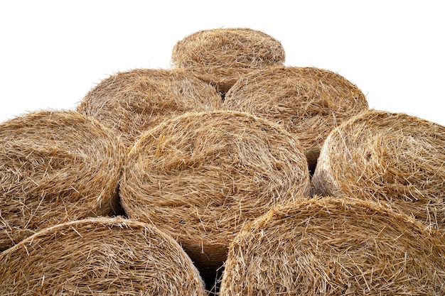 Hay bales Bottom view round hay bales stacked in stacks