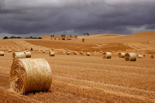 Hay bales on field against cloudy sky