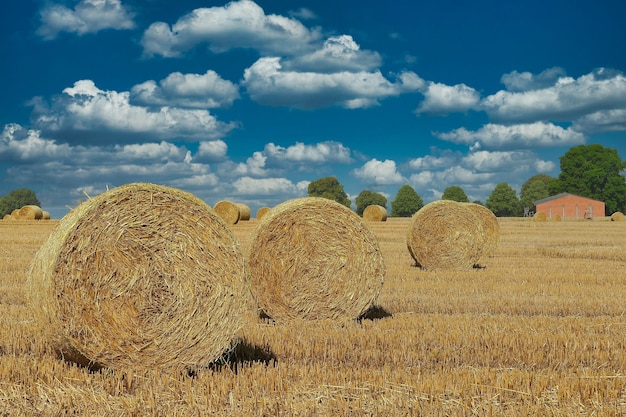 Hay bales on field against sky