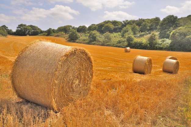 Hay bales on field against sky