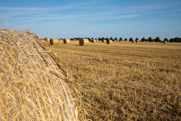 Hay bales on field against sky