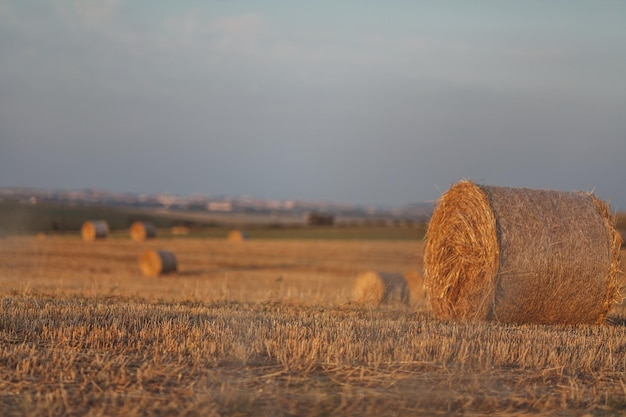 Hay bales on field against sky