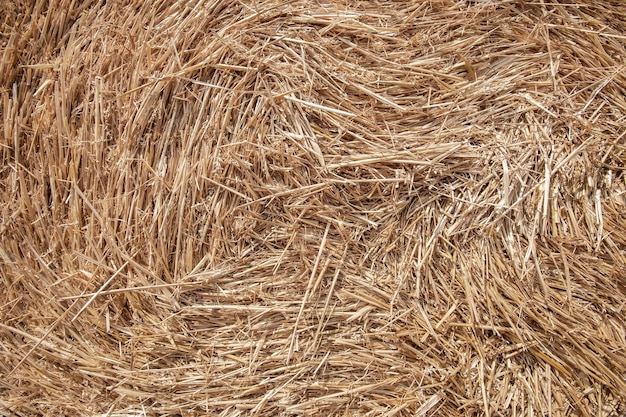 Hay bales in the sunset