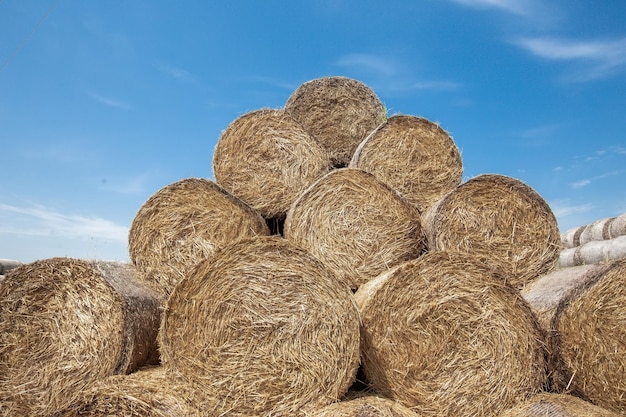 Hay bales in the sunset