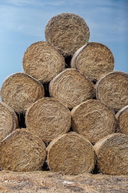 Hay bales in the sunset