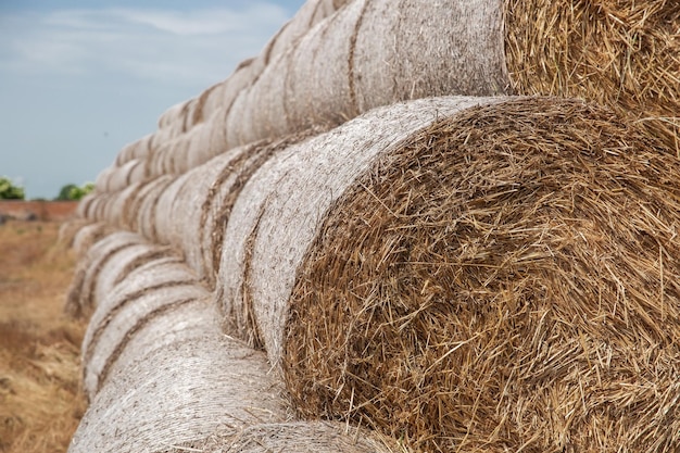 Hay bales in the sunset