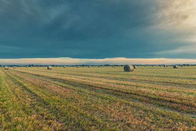 Hay bales