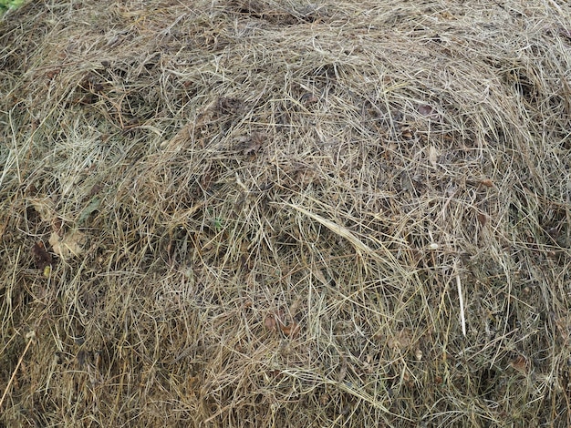 Hay heap background