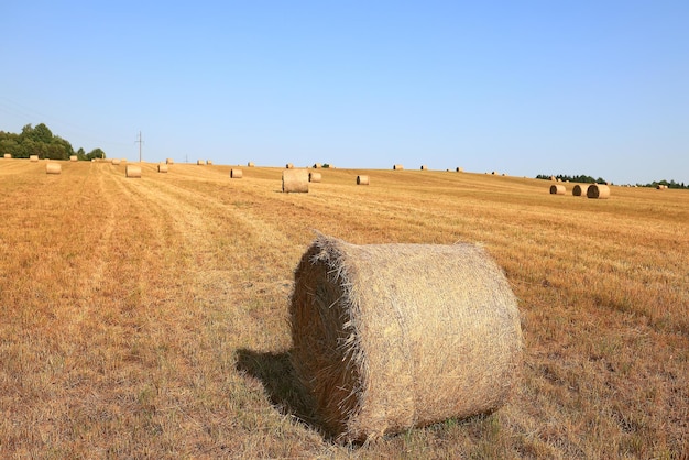 hay roll landscape nature summer farming