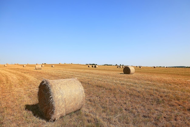 hay roll landscape nature summer farming