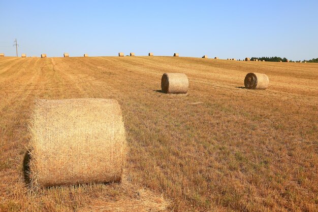 hay roll landscape nature summer farming