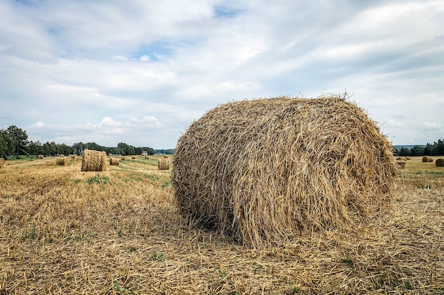 Haystack on summer field with blue sky.