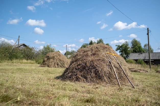 Haystack with tool for the collection of dry grass rakes and forks on background of rural landscape