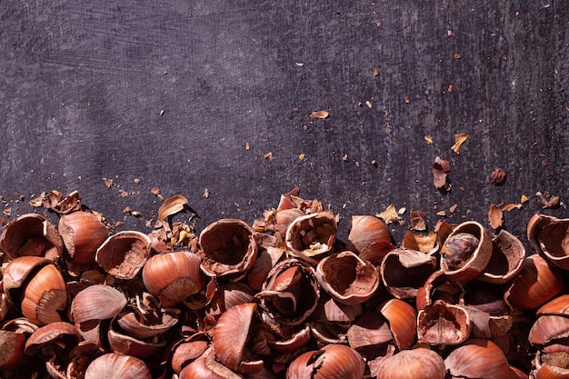 Hazelnut shell food background selective focus copy space