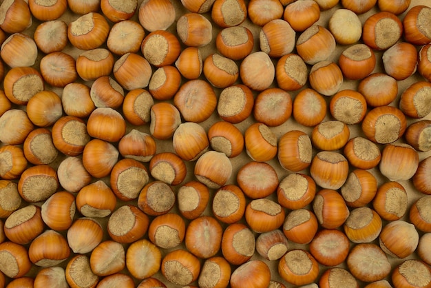 Hazelnuts background. Hazel nuts Raw fresh organic hazelnut in shell nuts Healthy food farmer market