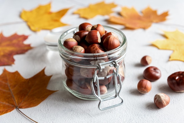 Hazelnuts and chestnuts in glass container on gray concrete background and yellow autumn maple leaves closeup.